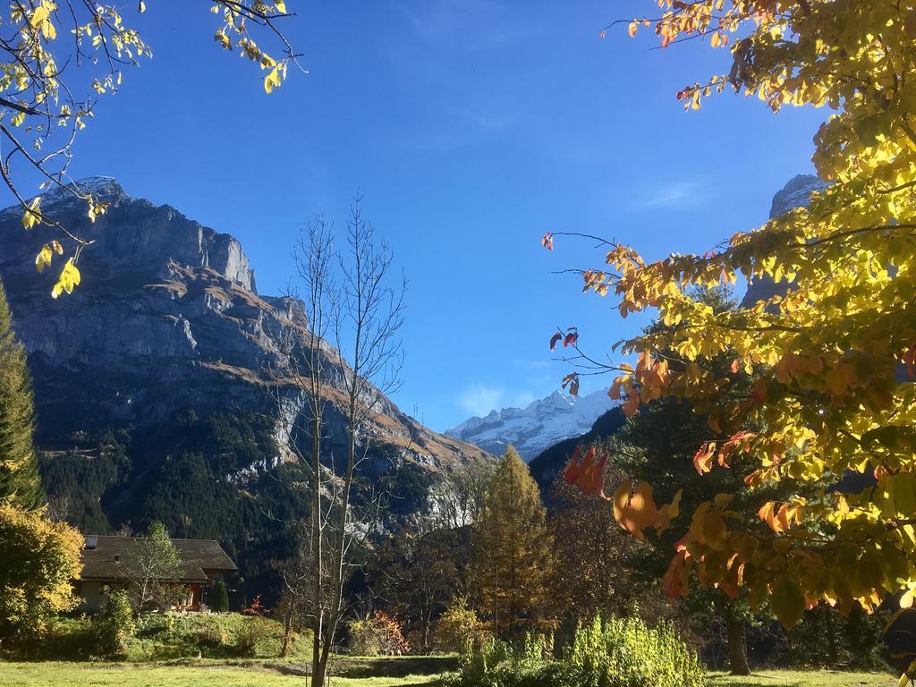 Ferienwohnung Endweg Grindelwald Exterior foto